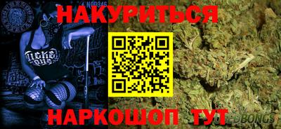 гидра Моздок
