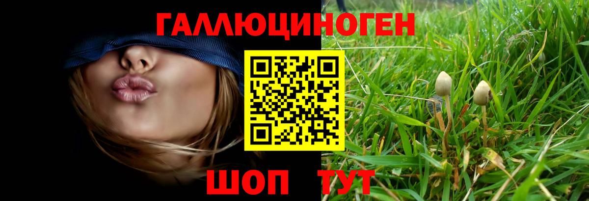 Псилоцибиновые грибы Cubensis  где продают наркотики  Кондопога  Вход с VPN  Галлюциногенные грибы MAGIC MUSHROOMS 